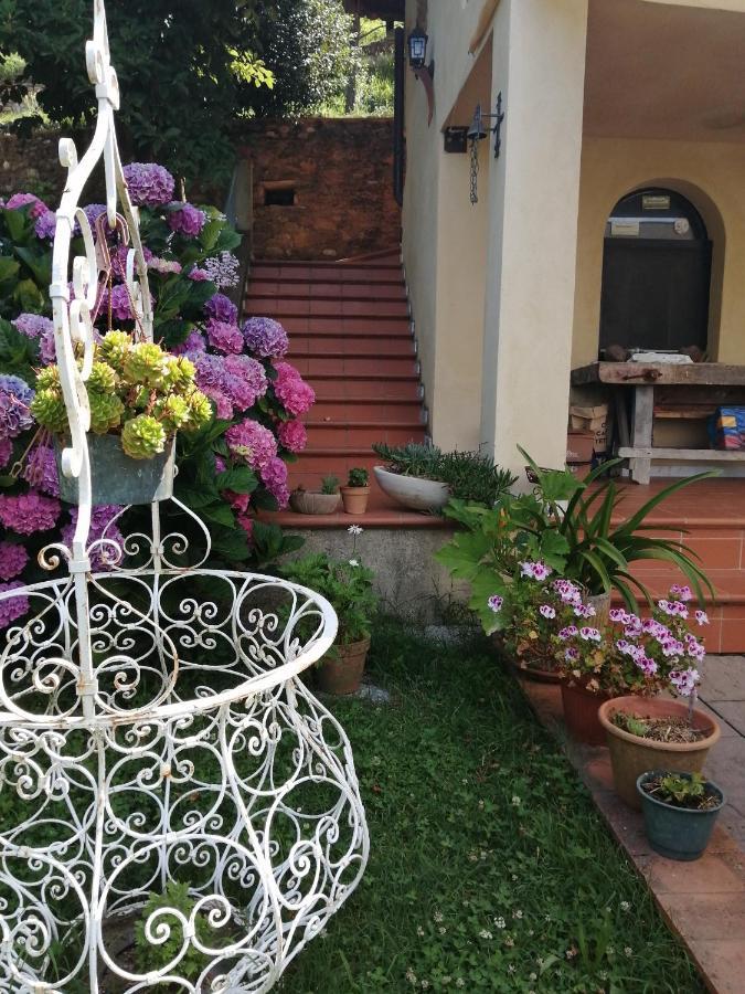 B&B Dal Brillante Seravezza Ngoại thất bức ảnh
